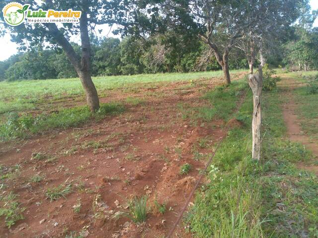 #2230 - Fazenda para Venda em Aliança do Tocantins - TO - 1