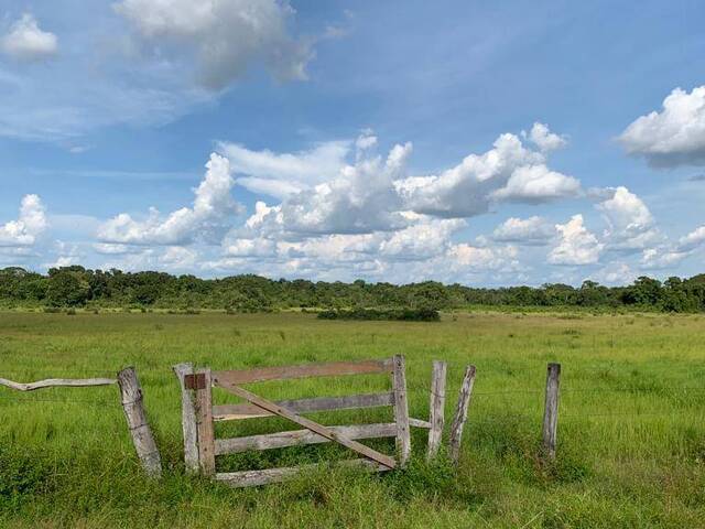 #2228 - Fazenda para Venda em Formoso do Araguaia - TO - 3