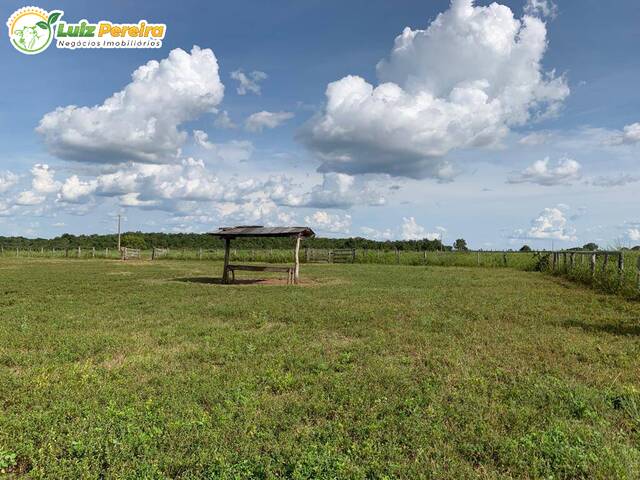 #2228 - Fazenda para Venda em Formoso do Araguaia - TO - 2