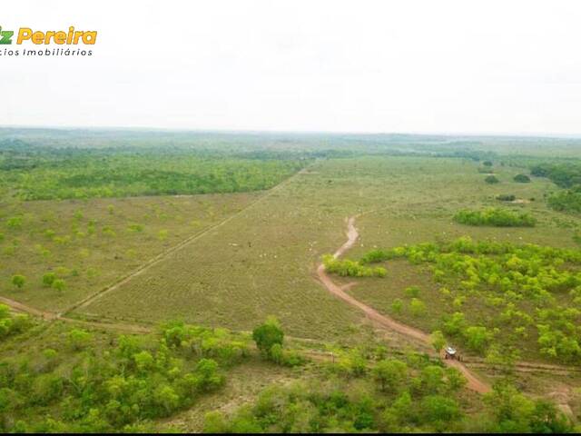 #2236 - Fazenda para Venda em Colinas do Tocantins - TO - 1