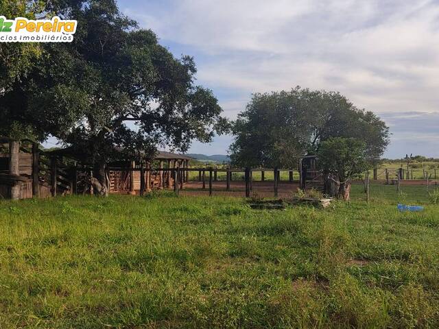 Venda em Taboco - Corguinho