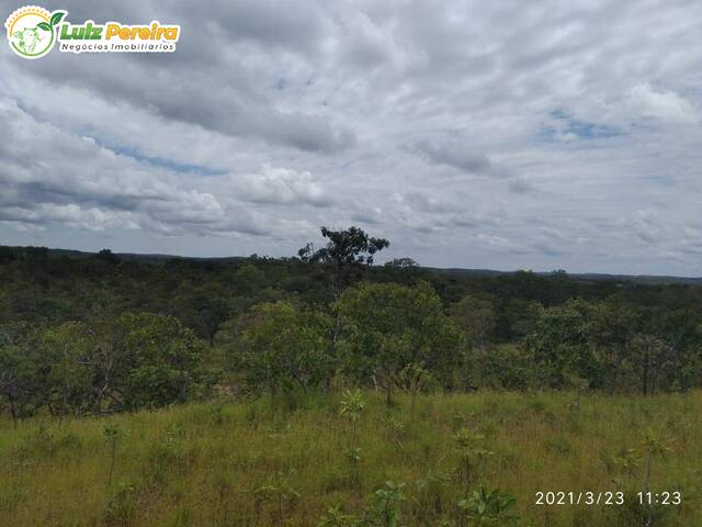 #2238 - Fazenda para Venda em Pacajá - PA - 2