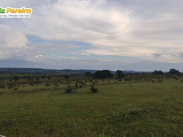 #2239 - Fazenda para Venda em Pacajá - PA