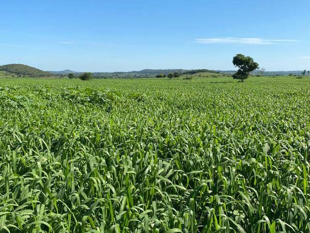 #2240 - Fazenda para Venda em Miranda - MS