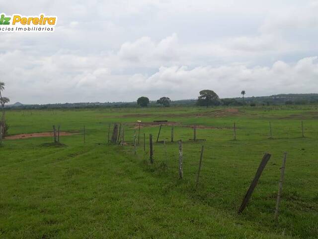 Venda em Zona Rural - Paranã