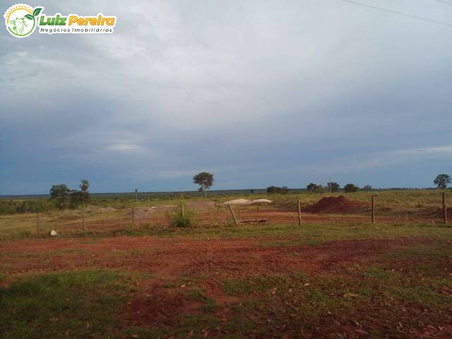 #2245 - Fazenda para Venda em Guia Lopes da Laguna - MS - 1