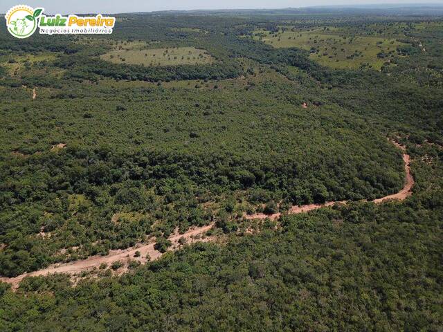 #2248 - Fazenda para Venda em Rio Negro - MS