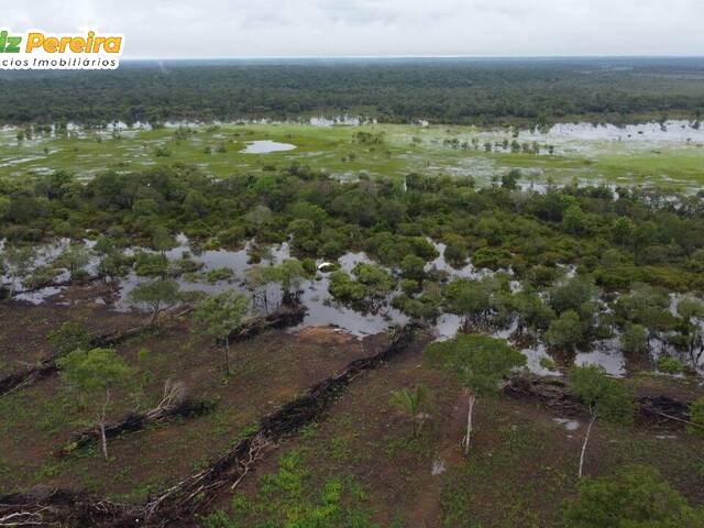 #2250 - Fazenda para Venda em Pium - TO