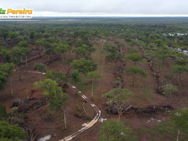 #2250 - Fazenda para Venda em Pium - TO - 3