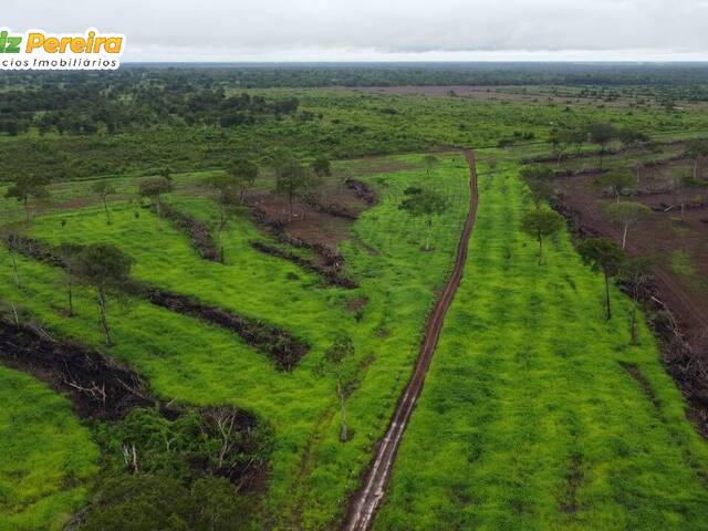 #2250 - Fazenda para Venda em Pium - TO - 2