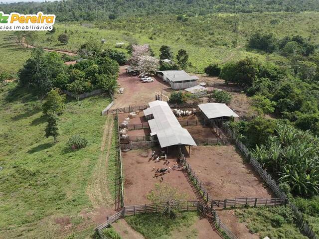 #2251 - Fazenda para Venda em Paragominas - PA - 1