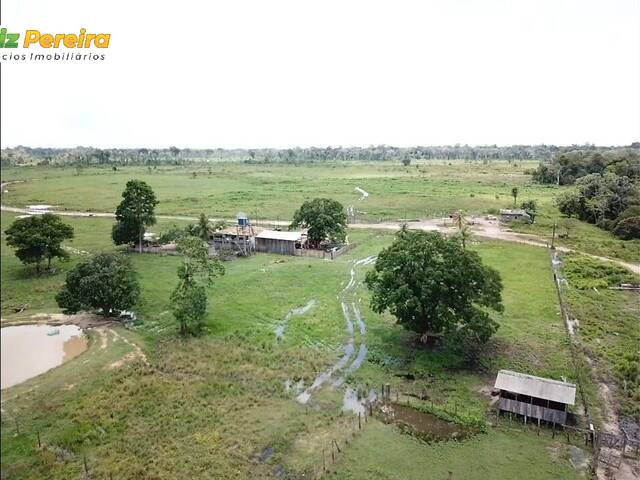 #2225 - Fazenda para Venda em Oeiras do Pará - PA - 1