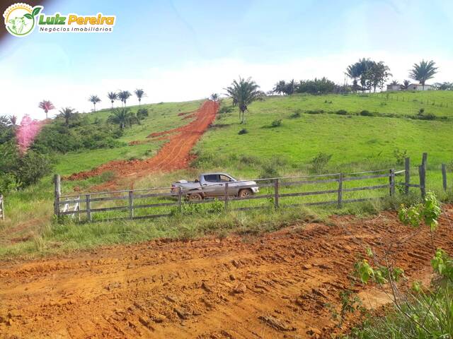 #2258 - Fazenda para Venda em Tucuruí - PA - 1