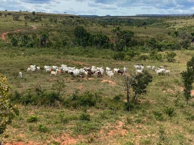 Venda em S.Central - Lizarda