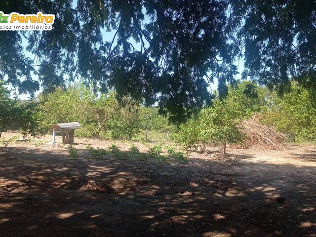 #2263 - Fazenda para Venda em Formoso do Araguaia - TO - 2