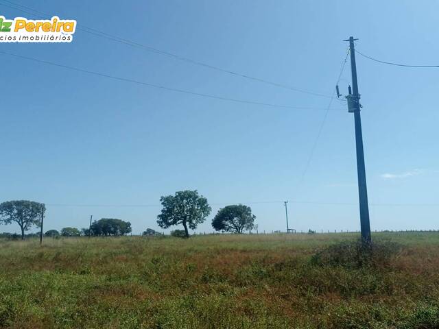 #2263 - Fazenda para Venda em Formoso do Araguaia - TO - 3