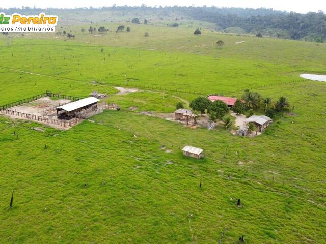 #2265 - Fazenda para Venda em Brasil Novo - PA - 3