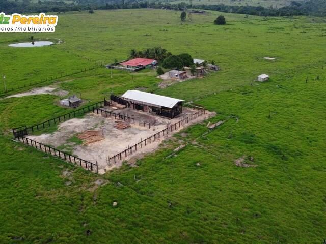 #2265 - Fazenda para Venda em Brasil Novo - PA - 1