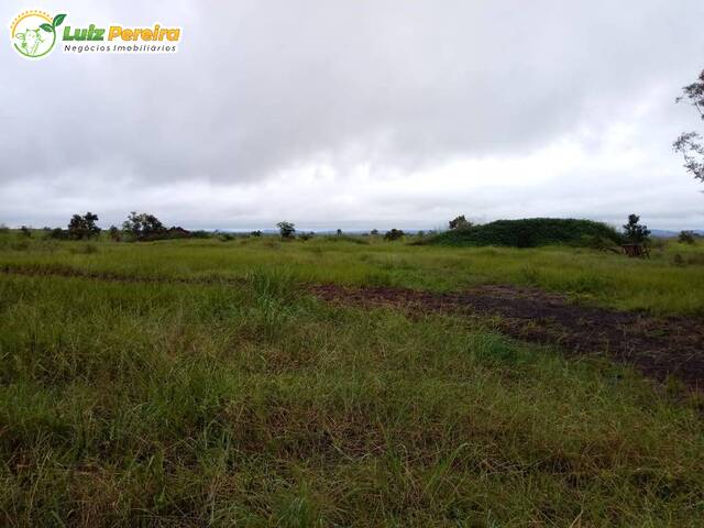 #2273 - Fazenda para Venda em Santa Maria das Barreiras - PA - 3