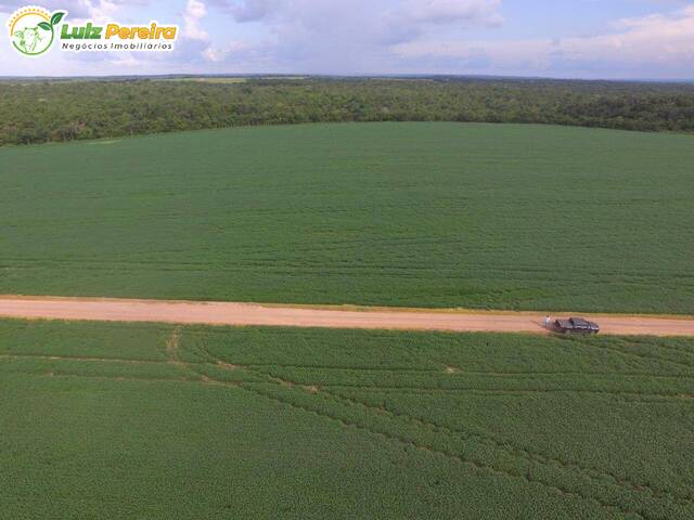 #2274 - Fazenda para Venda em Goianorte - TO - 1