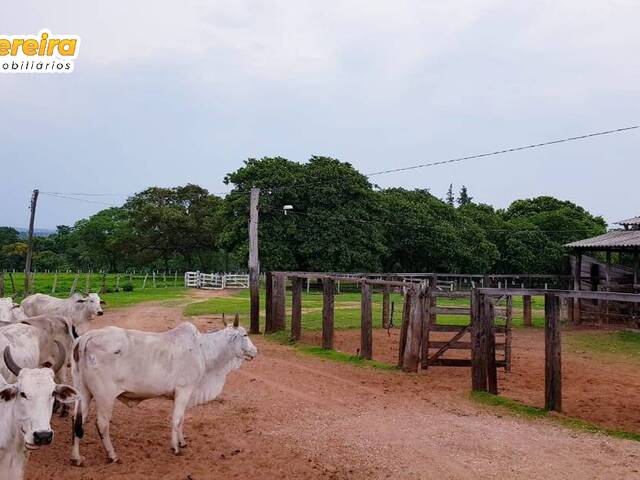 #2275 - Fazenda para Venda em Colinas do Tocantins - TO - 2