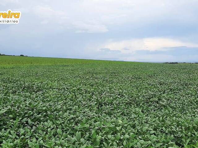 #2268 - Fazenda para Venda em Santa Maria do Tocantins - TO - 1