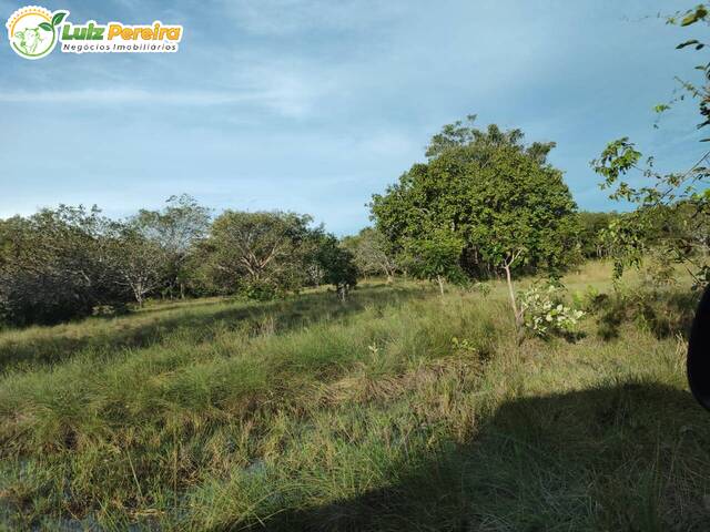 #2278 - Fazenda para Venda em Santa Maria das Barreiras - PA - 1