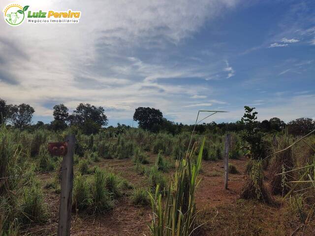 #2278 - Fazenda para Venda em Santa Maria das Barreiras - PA - 3