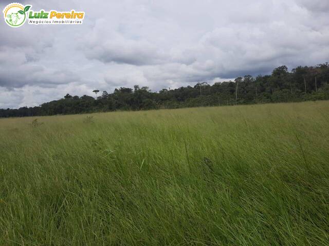 #2282 - Fazenda para Venda em Centenário - TO - 1