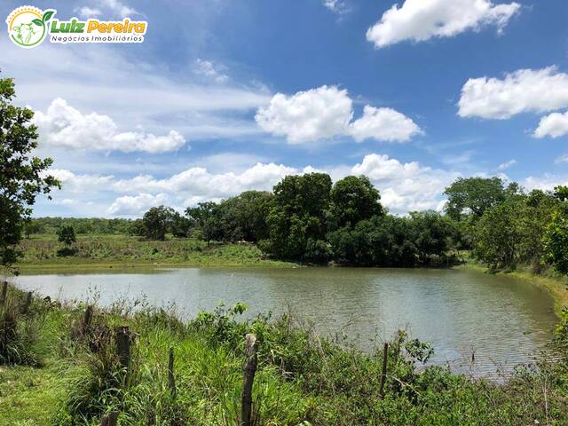 #2284 - Fazenda para Venda em Formoso do Araguaia - TO - 3