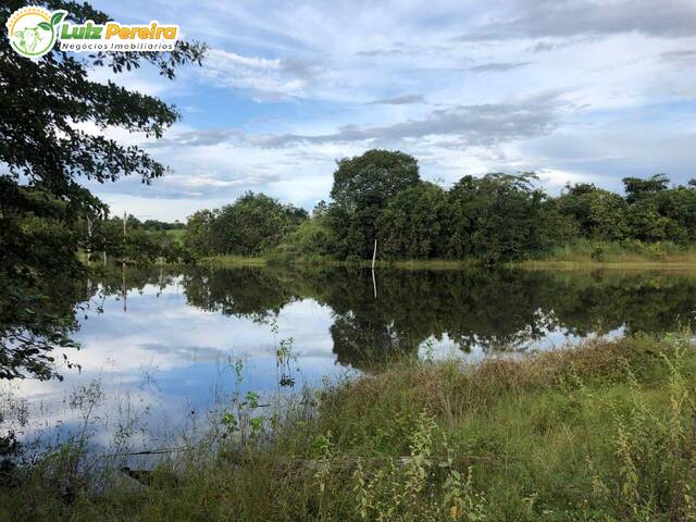 #2284 - Fazenda para Venda em Formoso do Araguaia - TO - 2