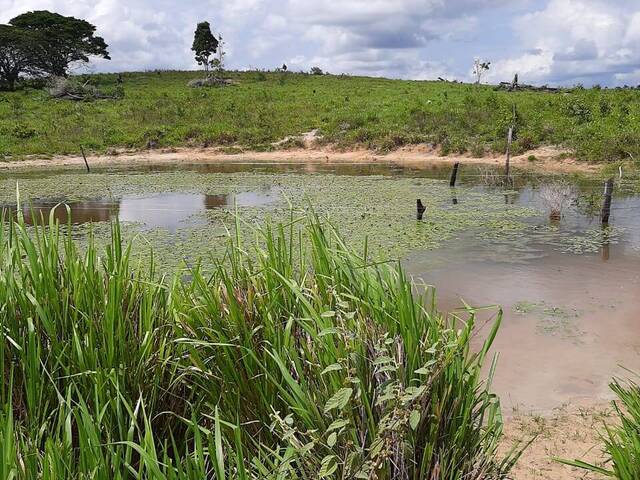 Venda em Mutirão - Altamira