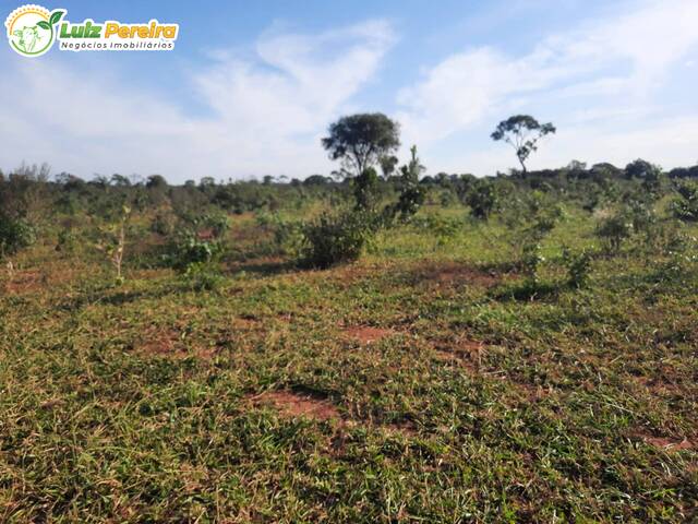 Venda em Zona Rural - Dois Irmãos do Buriti