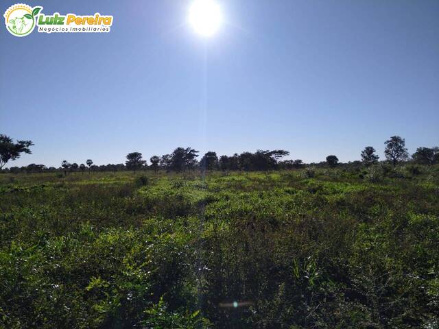 #2289 - Fazenda para Venda em Miranda - MS - 1