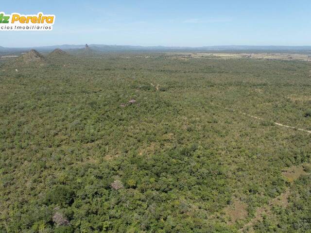 Venda em ST. NOVA ESPERANÇA - Natividade