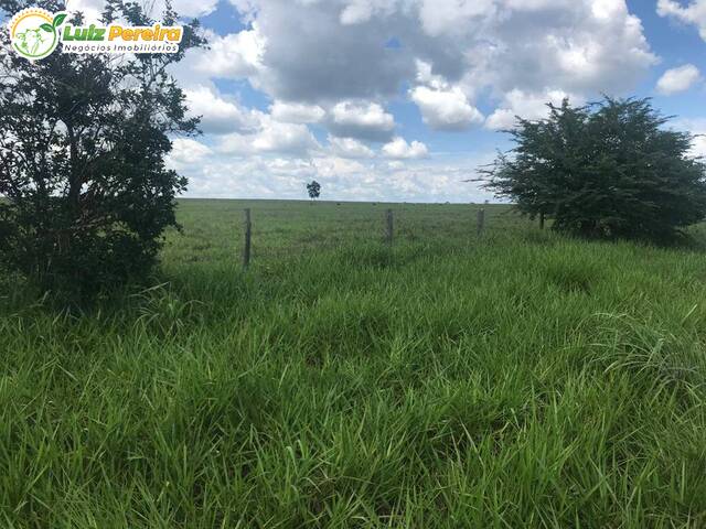 #2293 - Fazenda para Venda em Conceição do Araguaia - PA