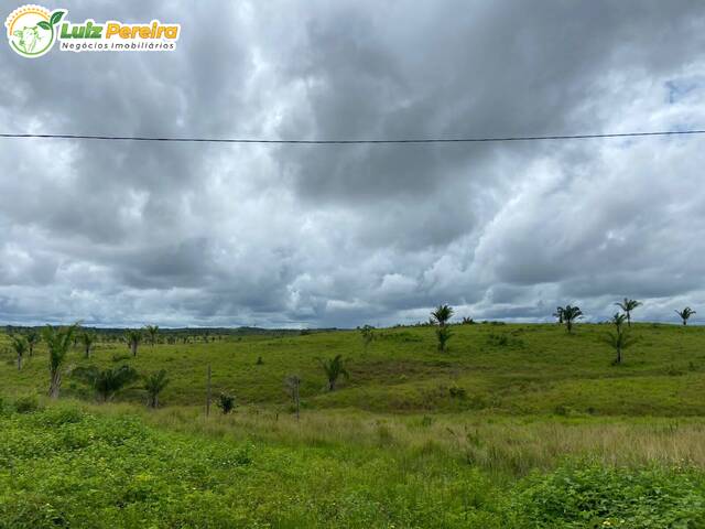 Venda em Zn Rural - Lizarda