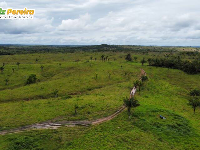 #2298 - Fazenda para Venda em Lizarda - TO - 2