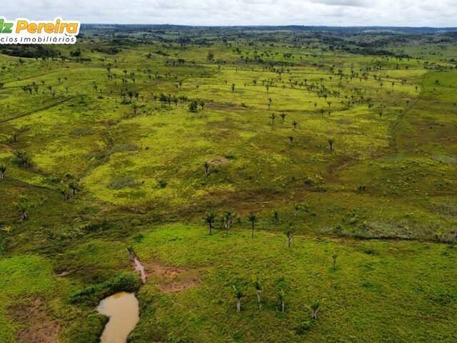 #2298 - Fazenda para Venda em Lizarda - TO - 3