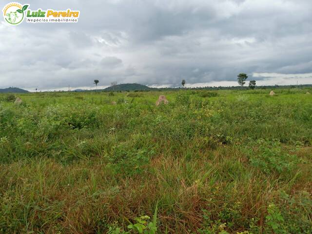 Venda em Zona Rural - Santana do Araguaia