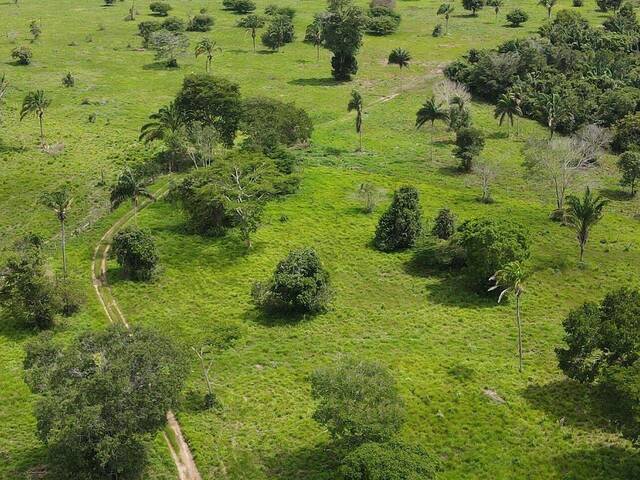 #2303 - Fazenda para Venda em Araguaína - TO - 1