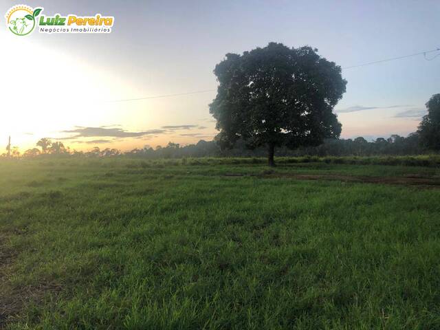 #2308 - Fazenda para Venda em Pacajá - PA - 3