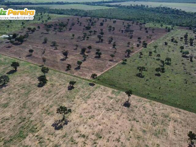 #2310 - Fazenda para Venda em Confresa - MT - 1