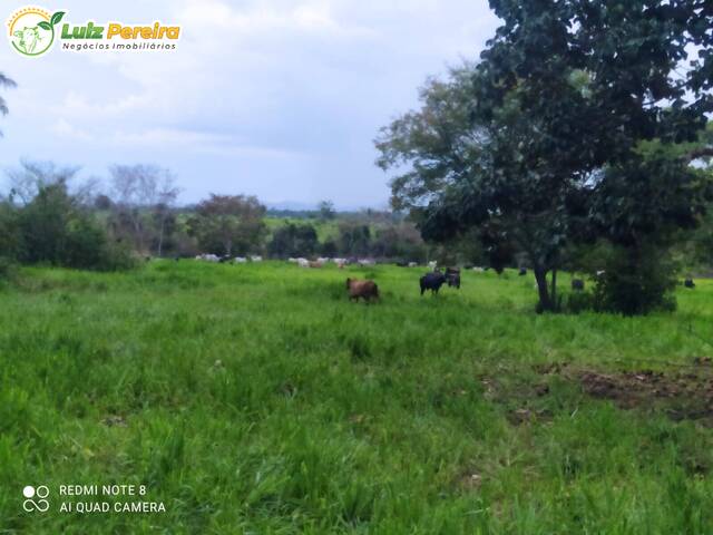 #2315 - Fazenda para Venda em Redenção - PA - 2