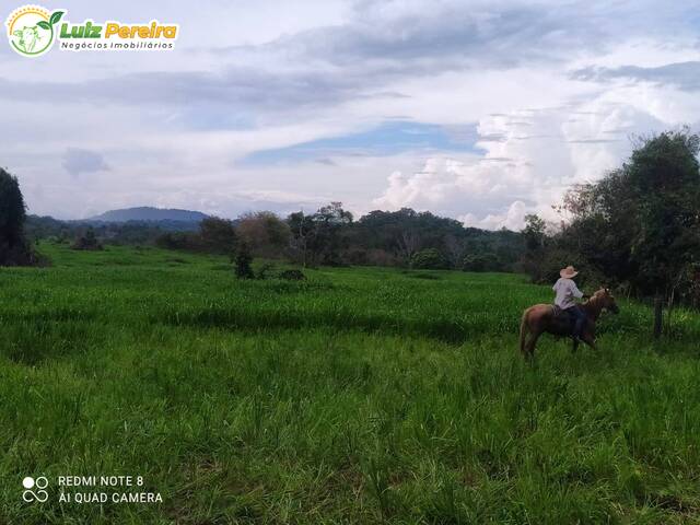 #2315 - Fazenda para Venda em Redenção - PA - 1