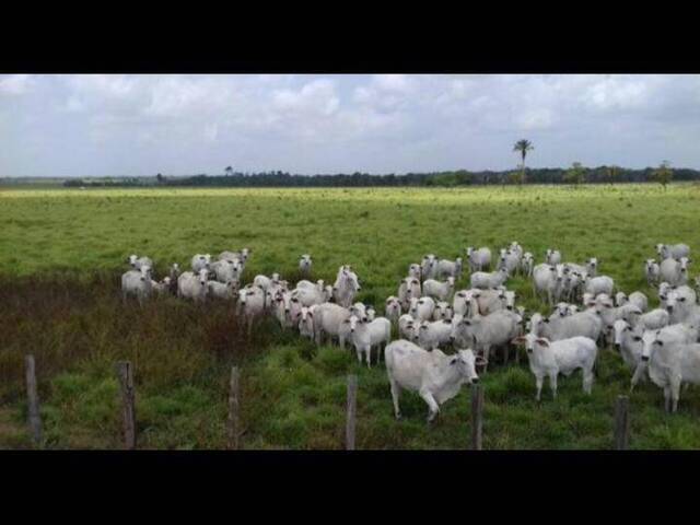 #2316 - Fazenda para Venda em Formosa da Serra Negra - MA