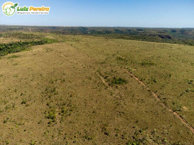 #2317 - Fazenda para Venda em Campos Lindos - TO - 2