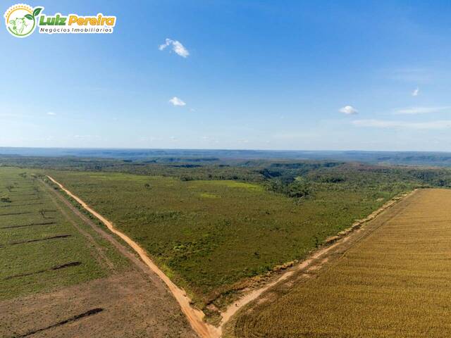 #2317 - Fazenda para Venda em Campos Lindos - TO - 1