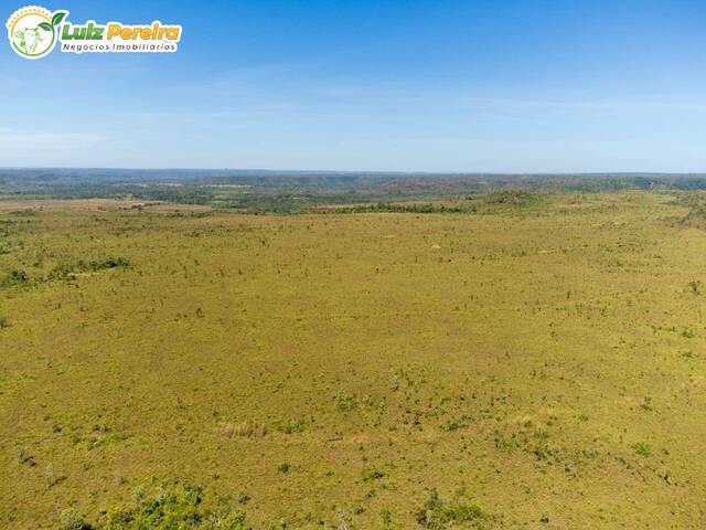 #2317 - Fazenda para Venda em Campos Lindos - TO - 3