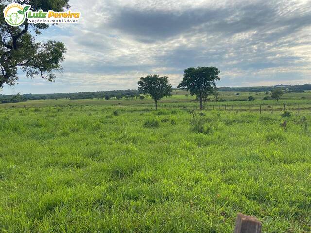 #2318 - Fazenda para Venda em Aparecida do Taboado - MS - 2